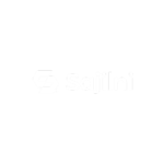 logo 9 1